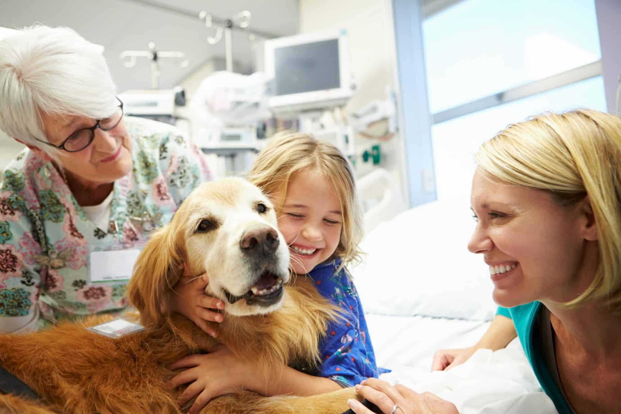 The Transformative Power of Therapy Animals